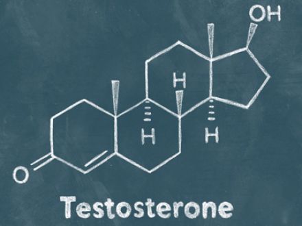 Тестостерон и мужская потенция!