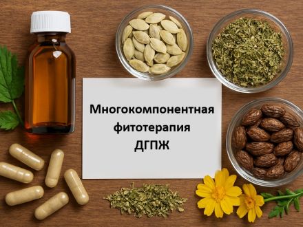 Многокомпонентная фитотерапия доброкачественной гиперплазии предстательной железы
